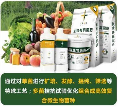 從辣椒加工到菌肥生產，她用五年搶占南方市場！_南方plus_南方+生物有機肥料研發